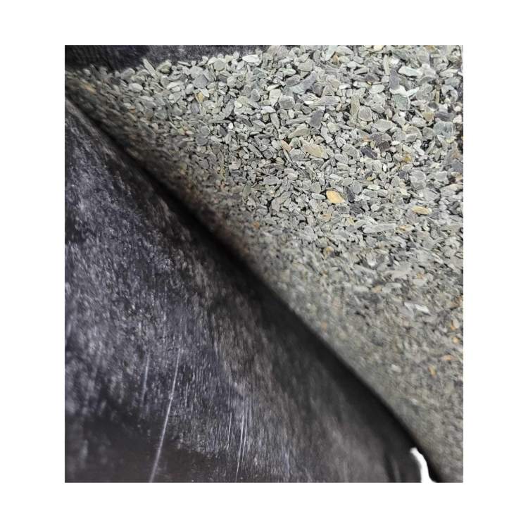 BAUDER PAPA ANTYKORZENNA (2).jpg