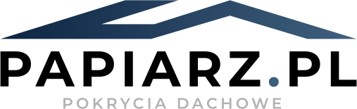 Shoper demo brak logo - strona główna